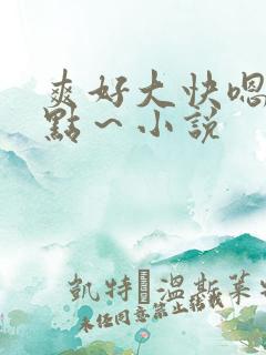 爽好大快嗯～轻点～小说