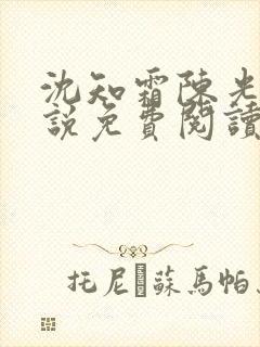 沈知霜陈光阳小说免费阅读