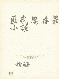 匪我思存最近的小说