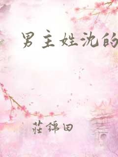 男主姓沈的小说