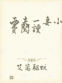 两夫一妻小说免费阅读