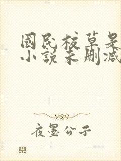 国民校草是女生小说未删减版