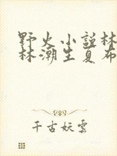 野火小说林晚晚林潮生夏布多昂