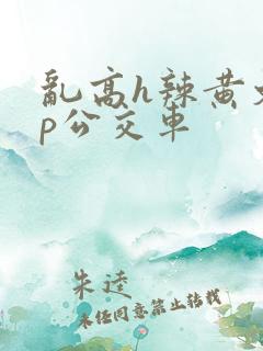 乱高h辣黄文np公交车