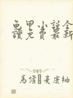 龟甲小说全文阅读免费最新章节