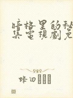 暗格里的秘密全集电视剧免费观看