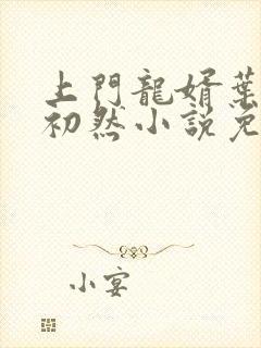 上门龙婿叶辰萧初然小说免费阅读