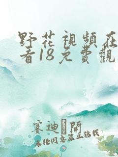野花视频在线观看18免费观看8