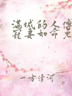 满城的人傅时洲宠妻如命免费阅读