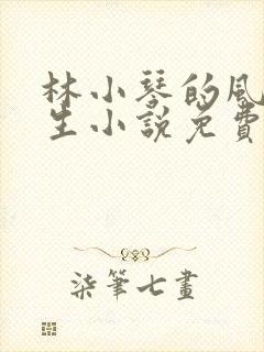 林小琴的风流人生小说免费阅读全文