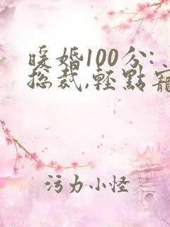 暖婚100分:总裁,轻点宠