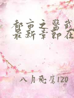 都市之医武阎王最新章节在线阅读