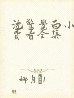 沈惊觉白小小免费看全集