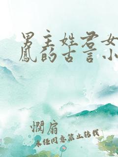 男主姓君女主姓凤的古言小说