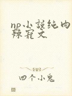 np小说纯肉高辣宠文