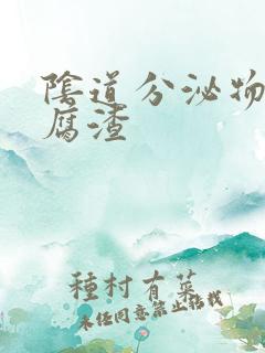 阴道分泌物黄豆腐渣