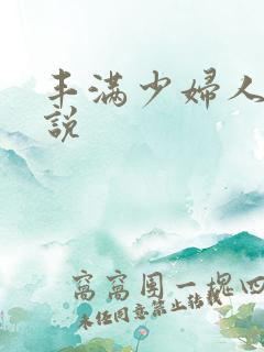 丰满少妇人妻小说