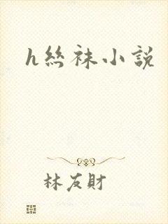 h丝袜小说