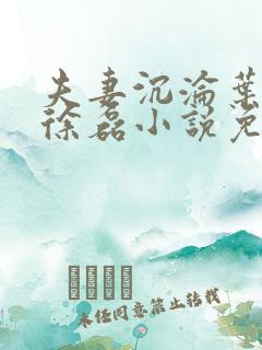 夫妻沉沦叶紫嫣徐磊小说免费阅读