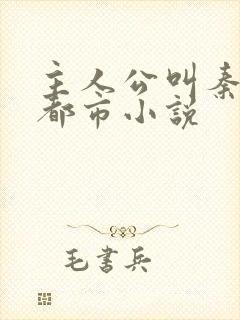 主人公叫秦昊的都市小说
