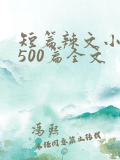 短篇辣文小说集500篇全文
