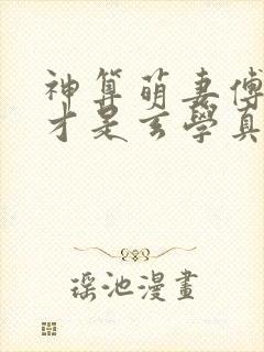 神算萌妻傅太太才是玄学真大佬主角