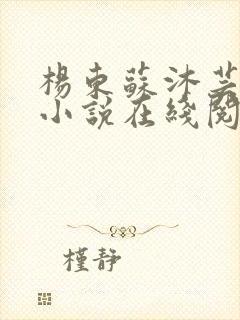 杨东苏沐芸完结小说在线阅读
