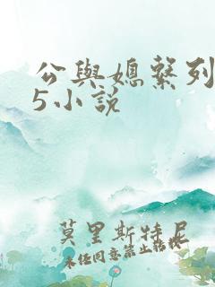 公与媳系列1—5小说