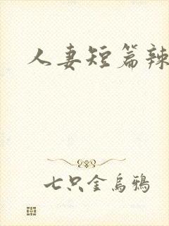 人妻短篇辣文