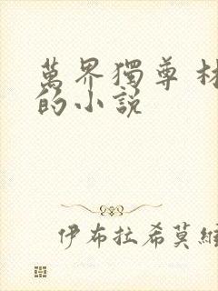 万界独尊 林枫的小说