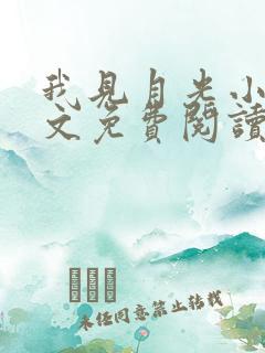 我见月光小说全文免费阅读