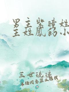 男主紫瞳姓夜女主姓凤的小说