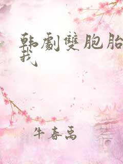 韩剧双胞胎爱上我