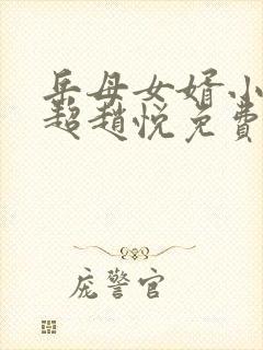 岳母女婿小说陈超赵悦免费阅读