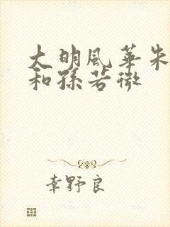 大明风华朱瞻基和孙若微