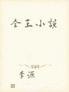 全王小说