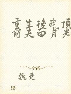 重生后我顶替了前夫白月光电子书txt下载