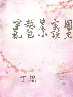 穿越农家团宠福气包小说免费阅读