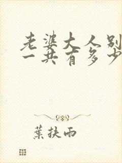 老婆大人别想逃一共有多少章