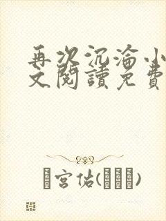 再次沉沦小说全文阅读免费无弹窗