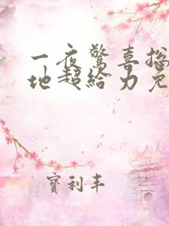 一夜惊喜总裁爹地超给力免费阅读