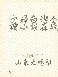 少妇白洁全文阅读小说在线