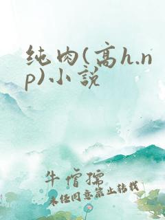 纯肉(高h.np)小说