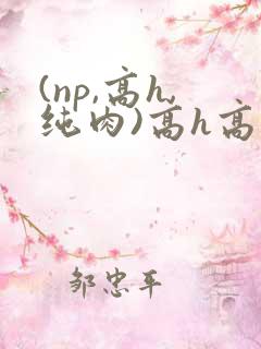 (np,高h,纯肉)高h高辣男男