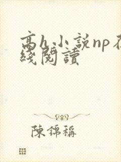 高h小说np在线阅读