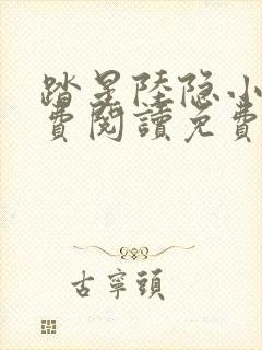 踏星陆隐小说免费阅读免费