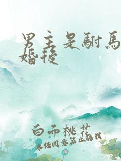 男主是驸马古言婚后