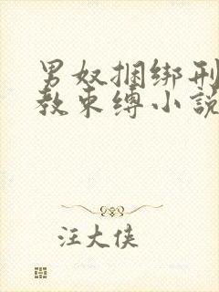 男奴捆绑刑具调教束缚小说