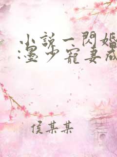 小说一闪婚厚爱:墨少宠妻成瘾
