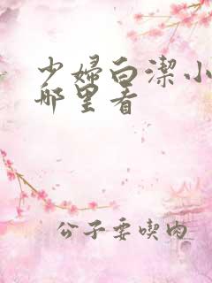 少妇白洁小说在哪里看